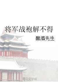 将军战袍解不得